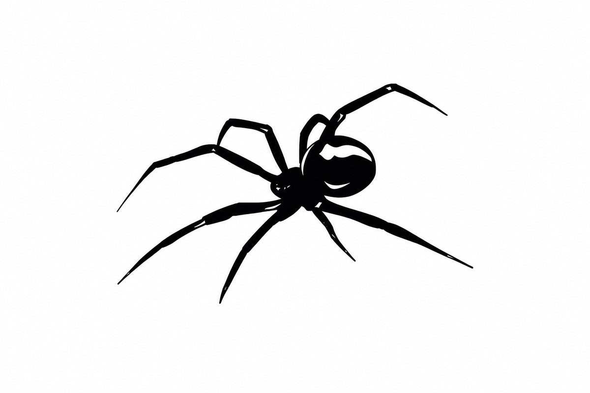 Small spider