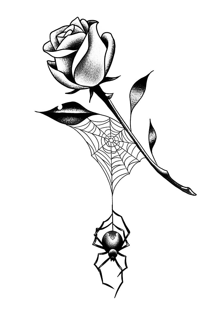 Rosa y araña colgada